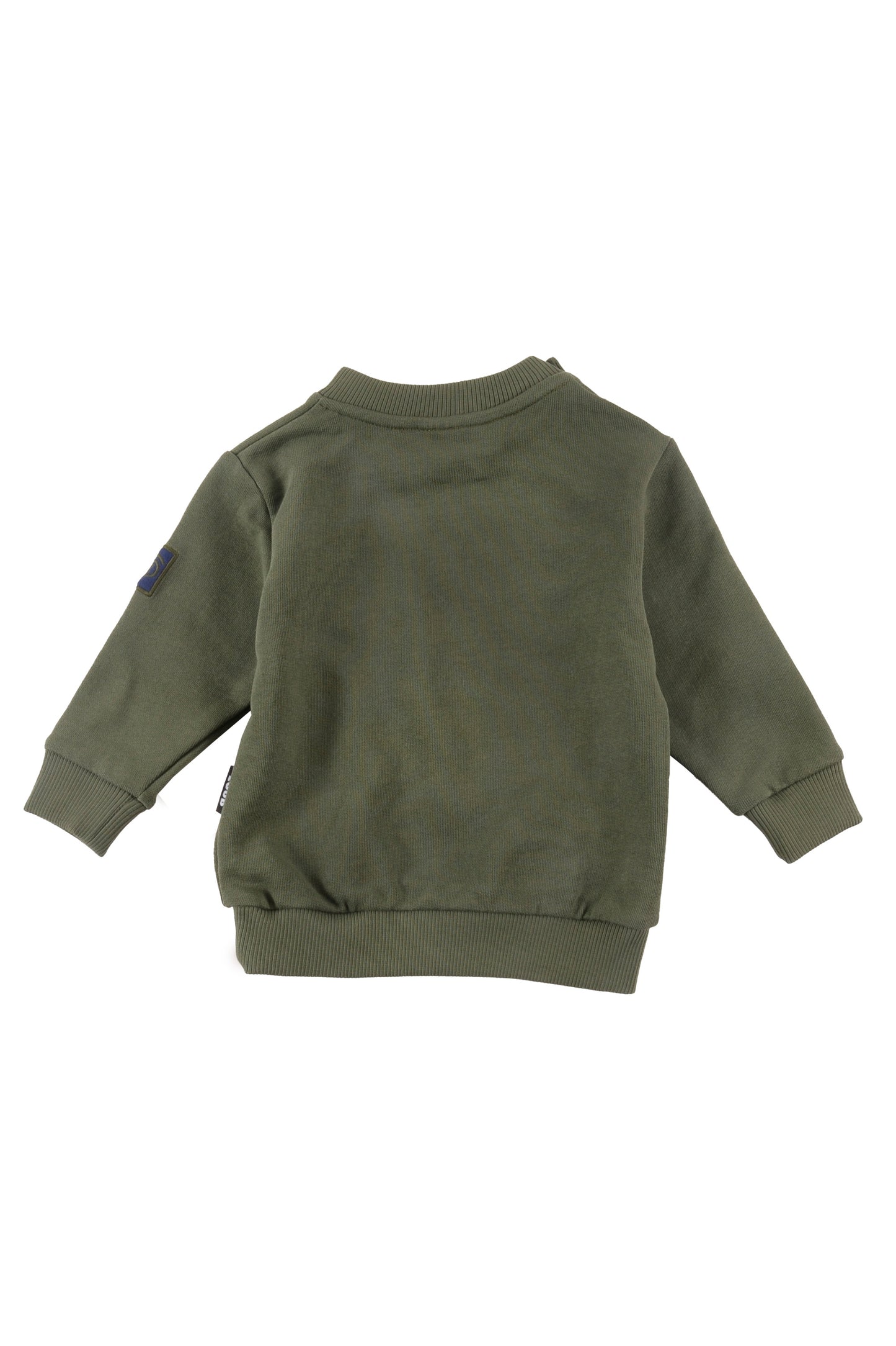 CLUB - Green Baby Sweater Regular Fit