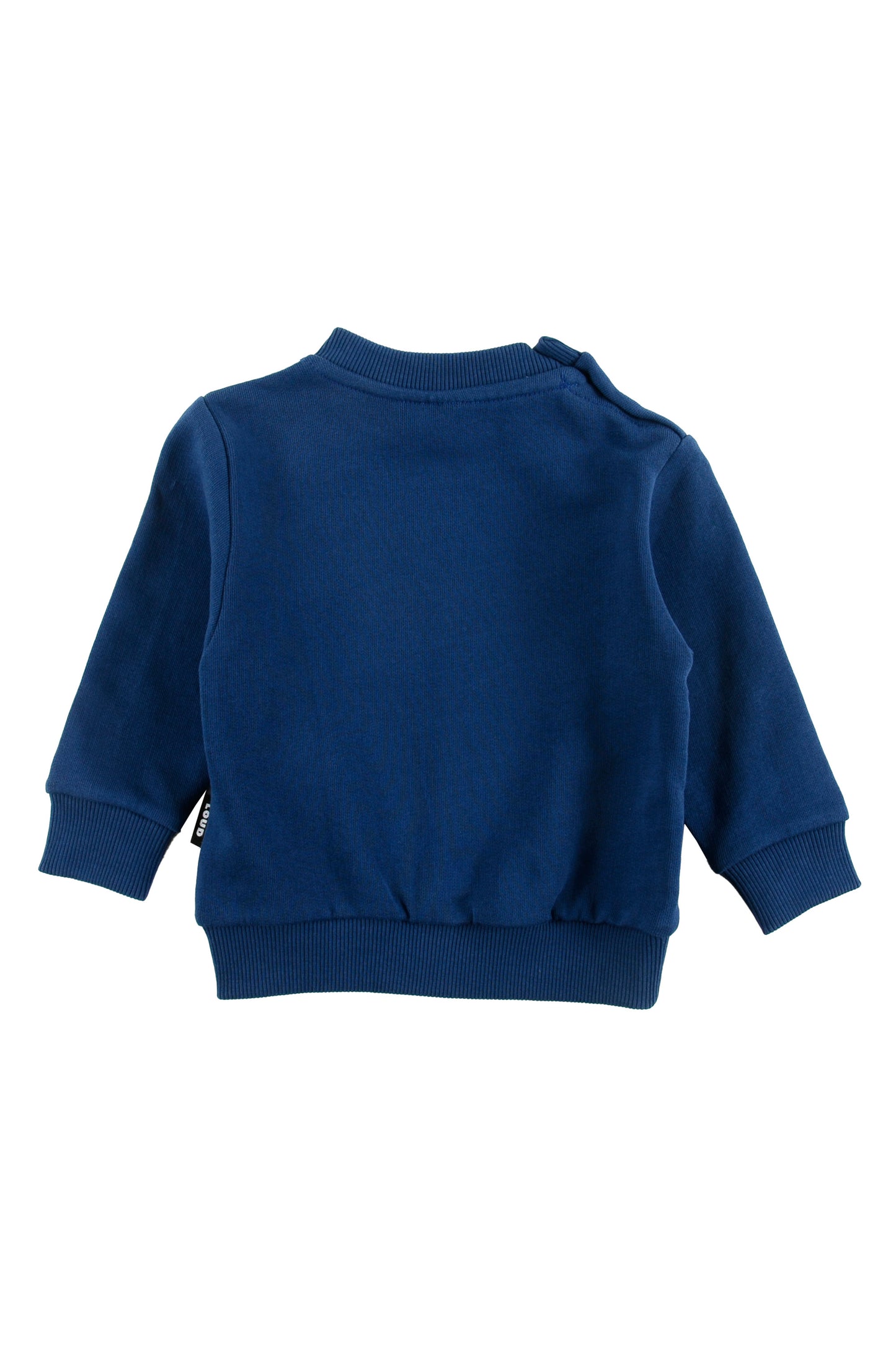 GALLIPOLI - Navy/Gardenia Sweater Regular Fit (Sample)