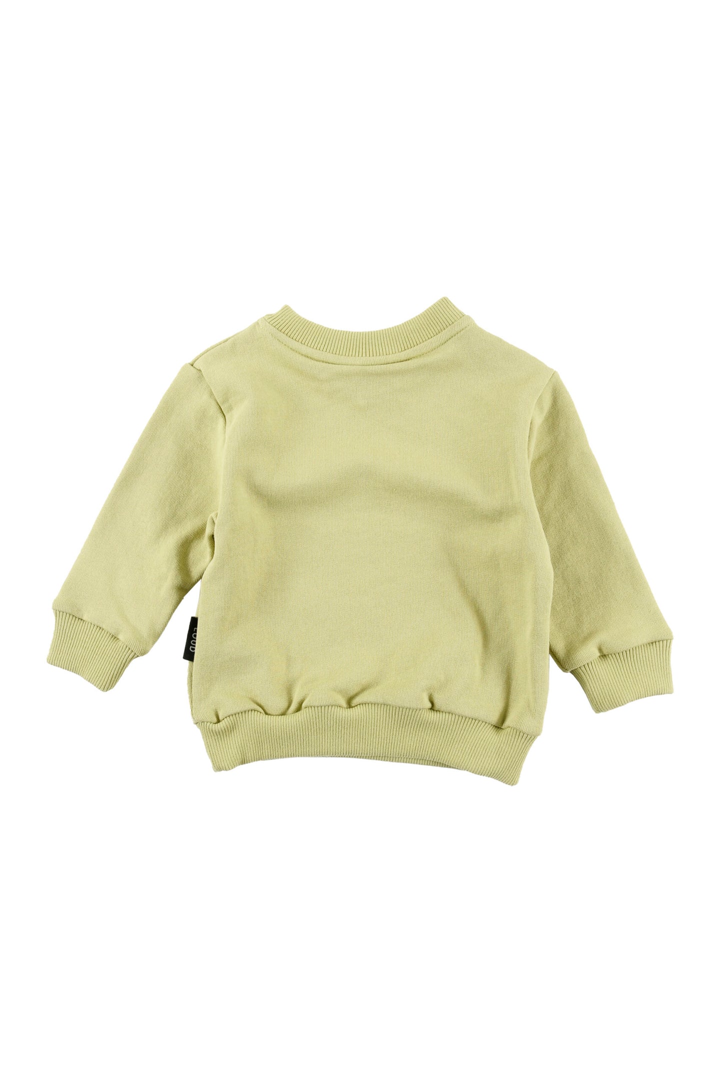 JOURNEY - Winter Pear/Black Sweater Regular Fit