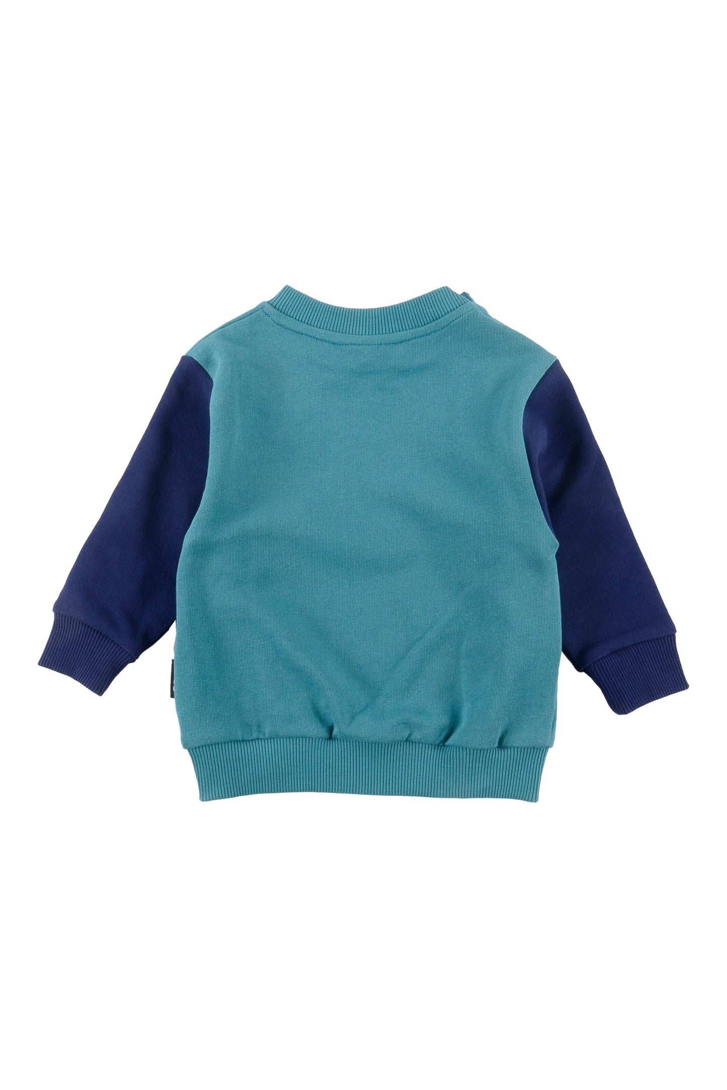 TREE - Turquoise/Navy 2Tone Baby Sweater Regular Fit