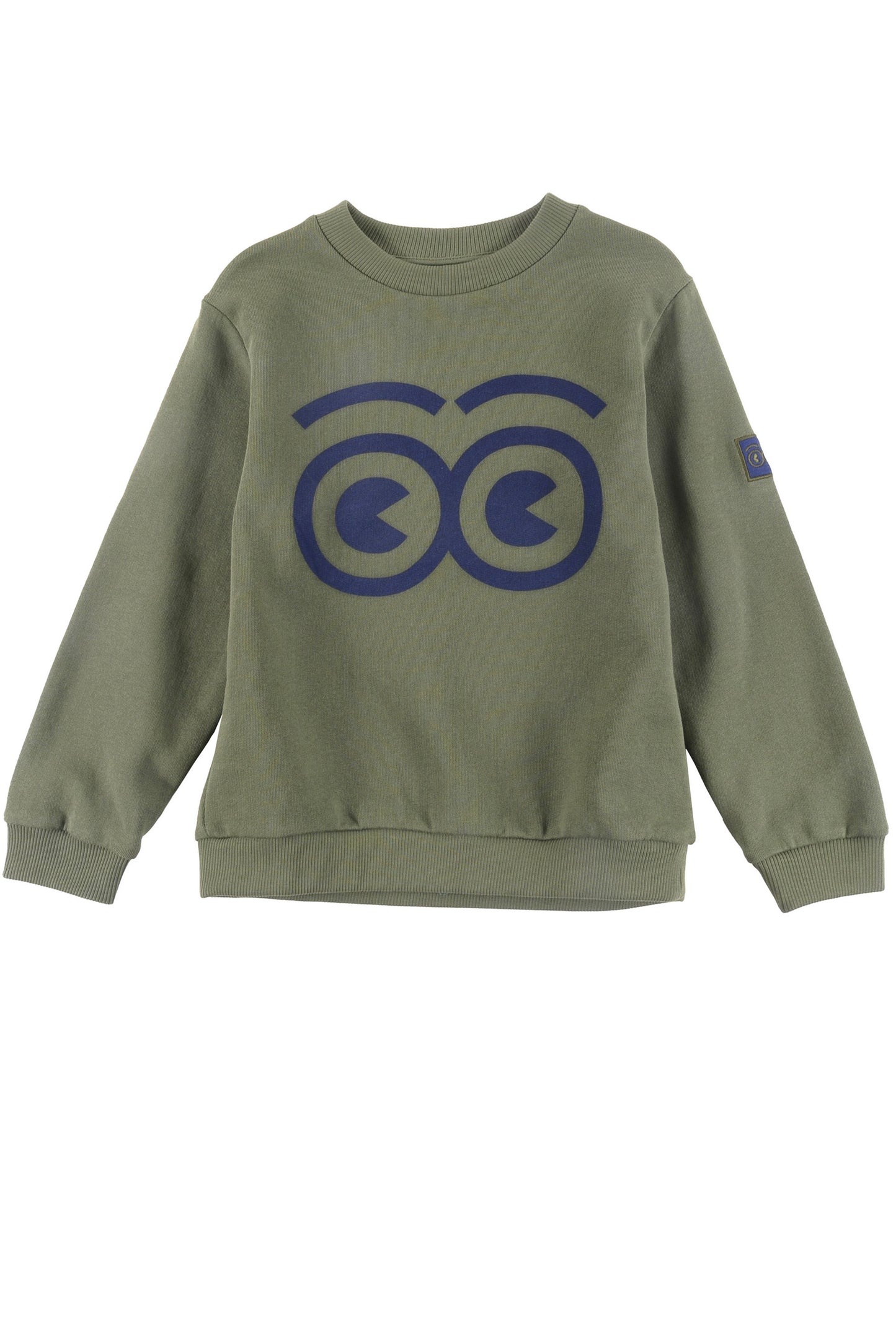 FAMILY - Green Sweater Regular Fit