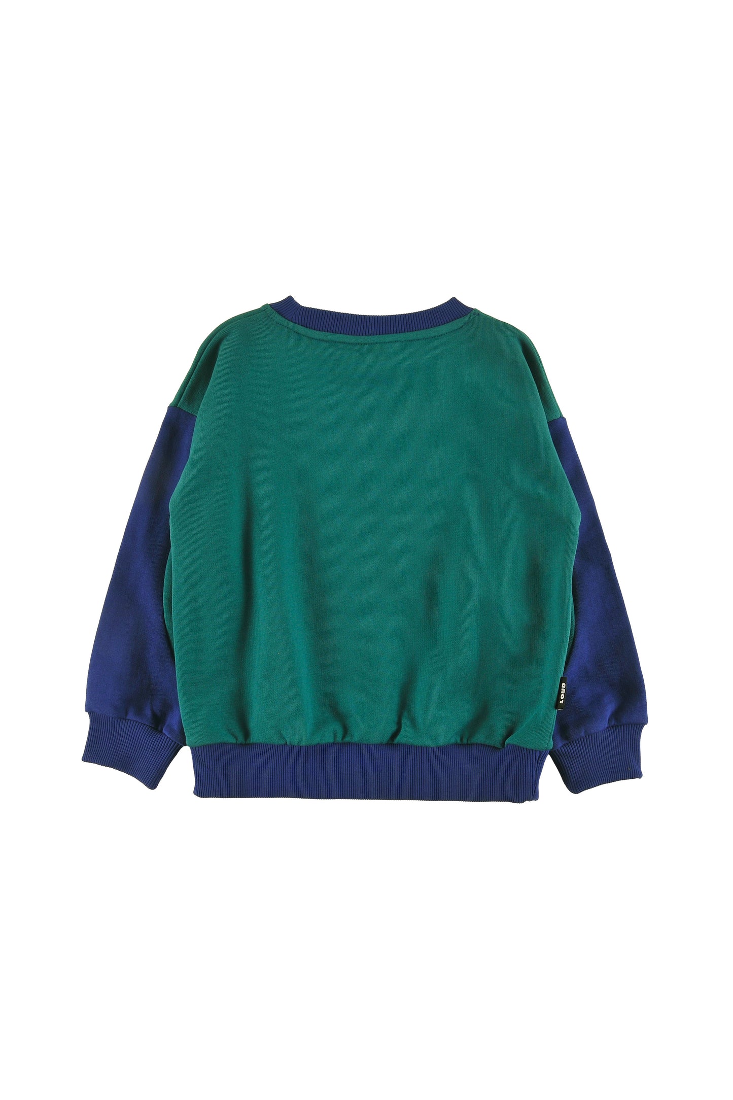 SLEIGH - GREEN/NAVY SWEATER relaxed fit, drop shoulder, sleeve colour block LOUD eyes logo print contrast