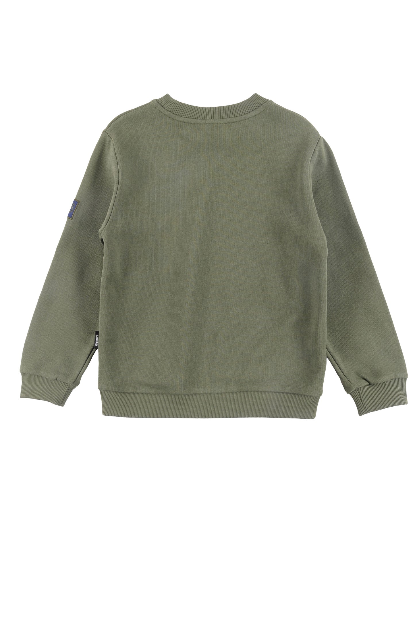FAMILY - Green Sweater Regular Fit