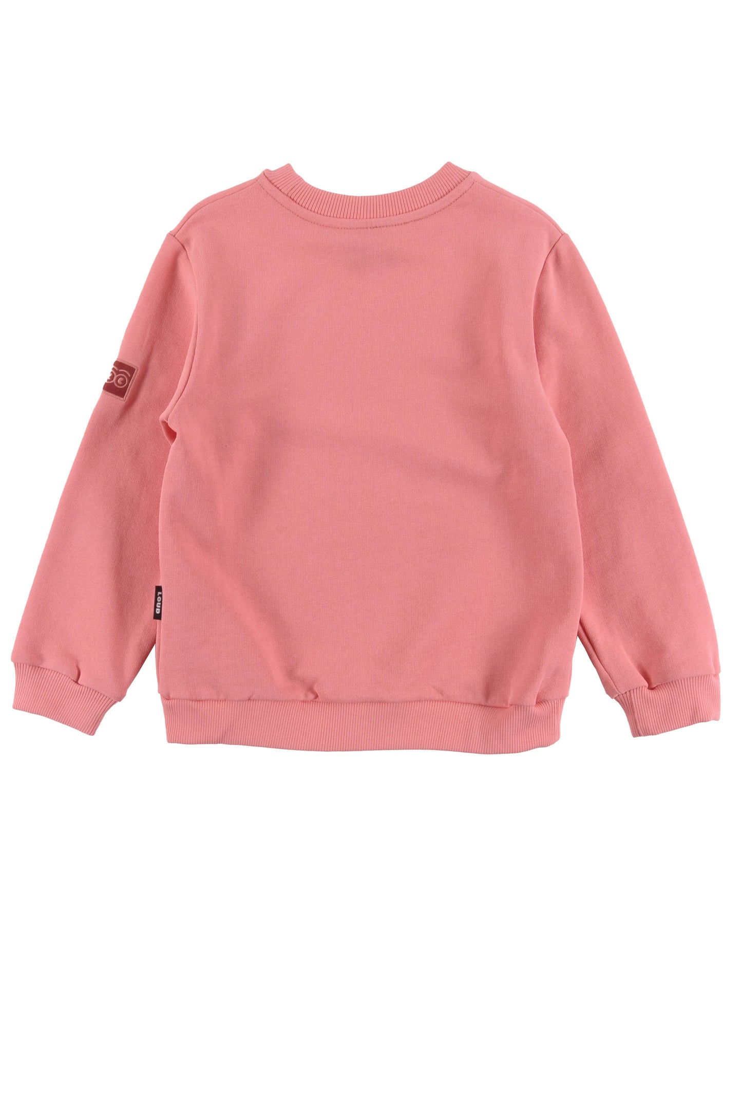 FAMILY - Raspberry Sweater Regular Fit