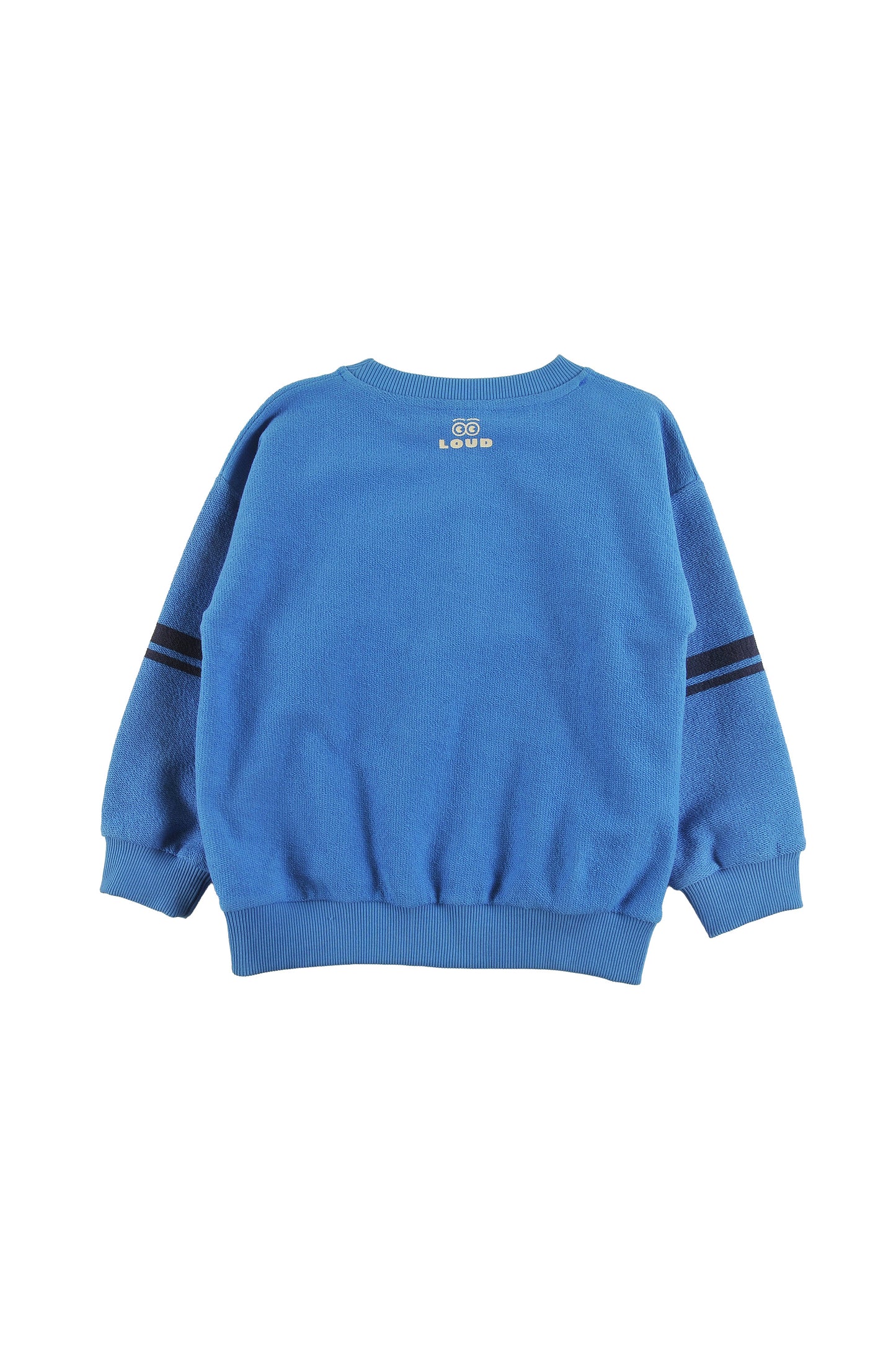 HIGH - MALIBU BLUE SWEATER relaxed fit drop shoulder, contrast stripe sleeve LOUD SKATE print