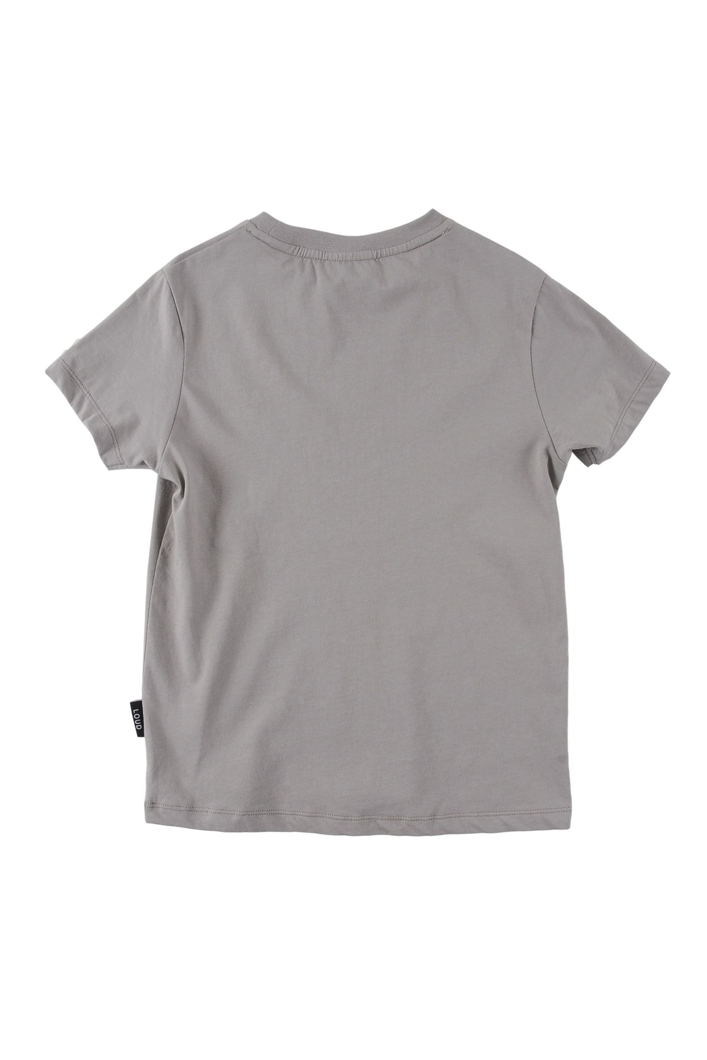 BEGINNING - Zinc T-Shirt Regular Fit