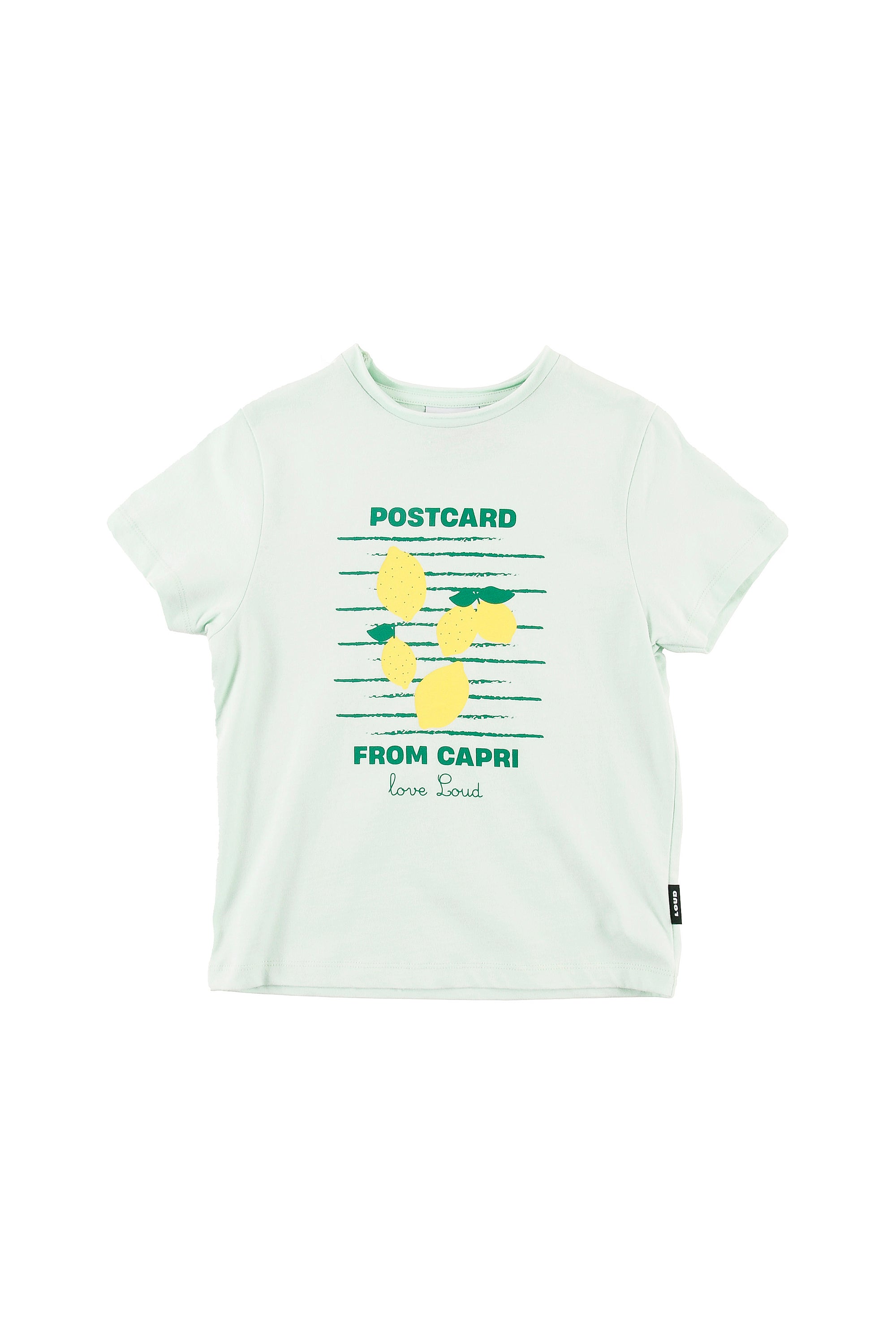 LEMONS - Jade/Lemon Print T-Shirt Relaxed Fit – LOUD